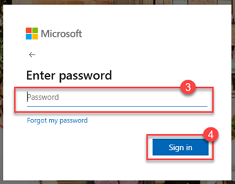 Image of Canvas Login Password Screen